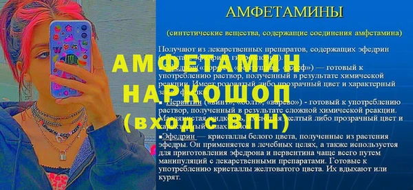 индика Богородск