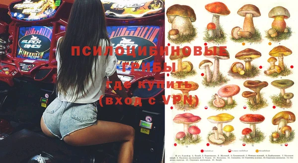 кокаин Богданович