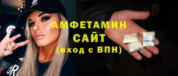 индика Богородск