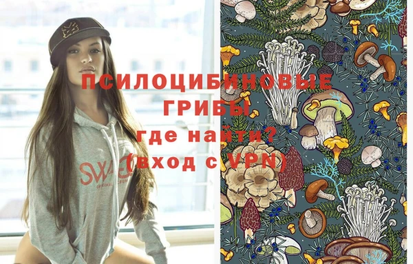 кокаин Богданович