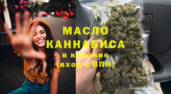индика Богородск