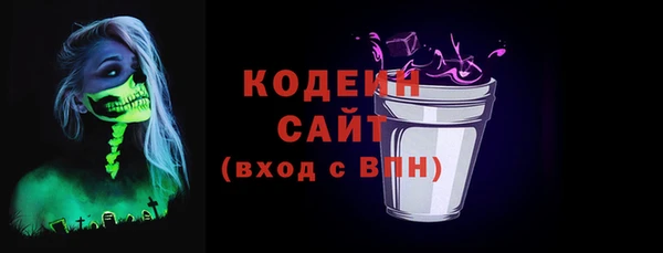 индика Богородск