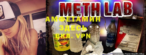 индика Богородск