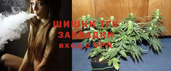 твердый Богородицк