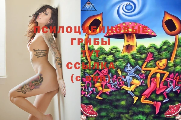 кокаин Богданович