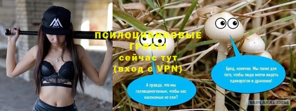 индика Богородск