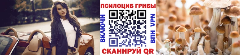 Галлюциногенные грибы Psilocybe  Южноуральск 